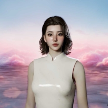 中国风套件乌木制屏风和丝绸旗袍 